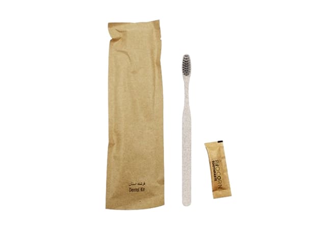 Eco-Friendly Dental Kit